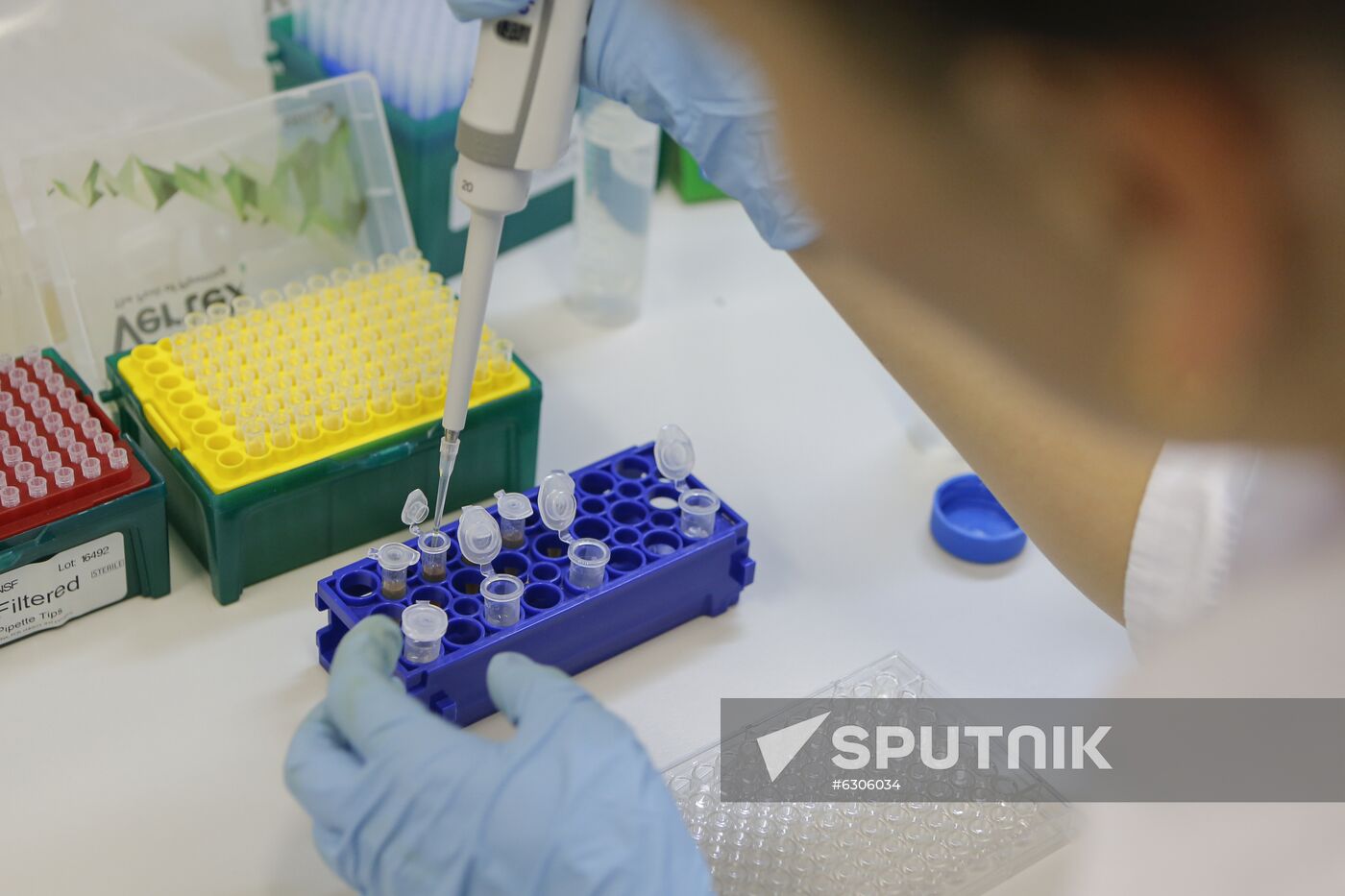 Russia Coronavirus Vaccine