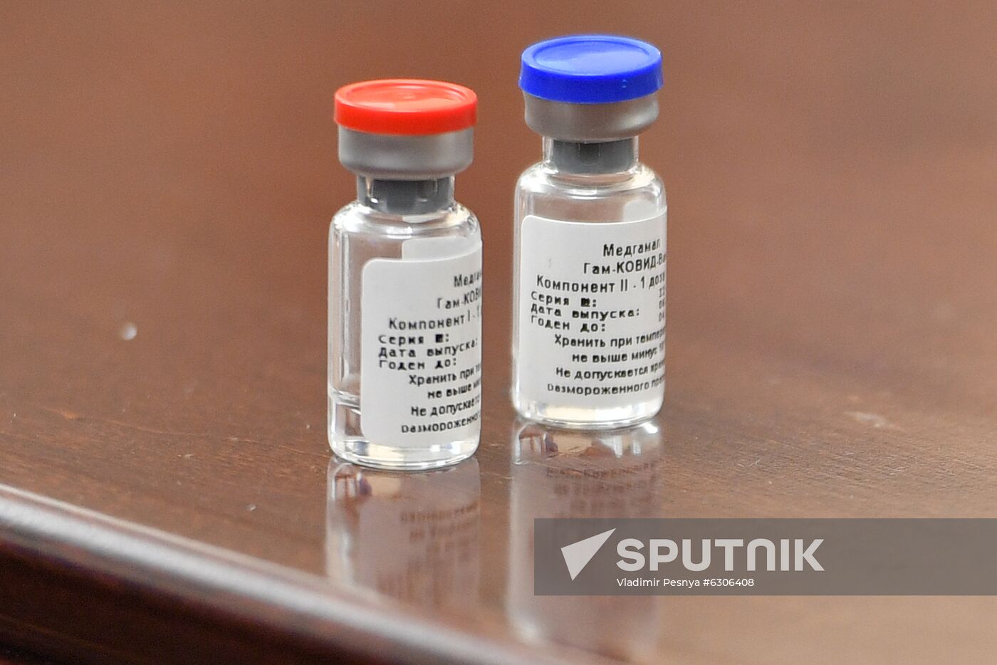 Russia Coronavirus Vaccine