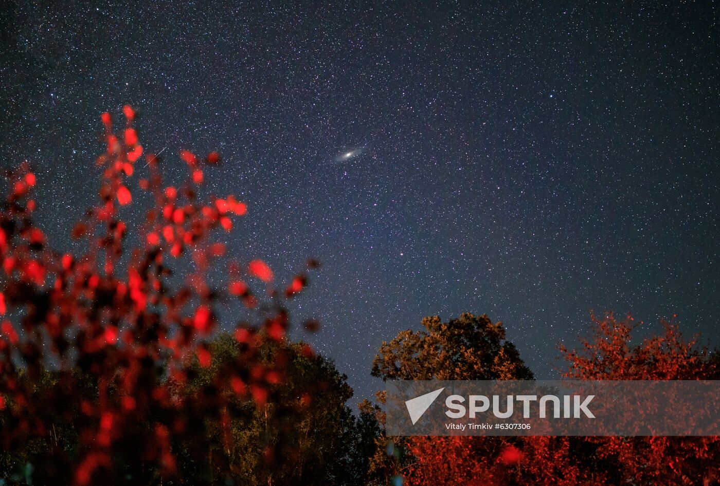 Russia Perseid Meteor Shower