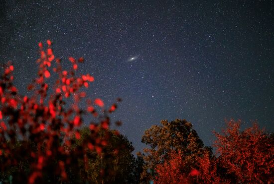 Russia Perseid Meteor Shower