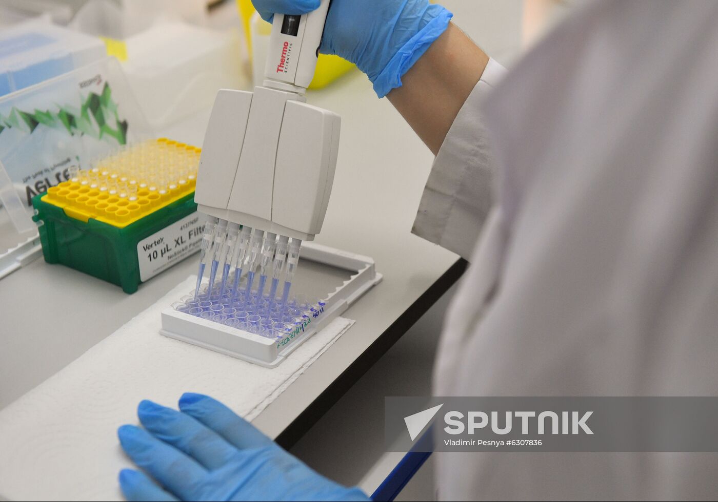 Russia Coronavirus Vaccine 