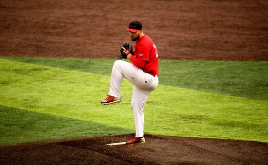 Russia Baseball Championship