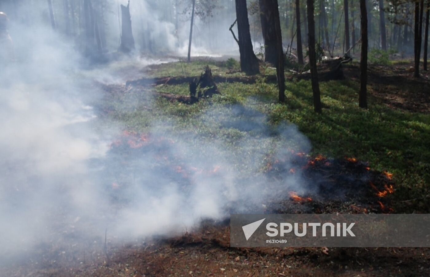 Russia Wildfires