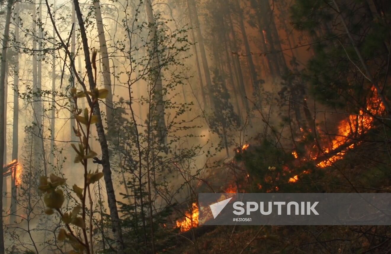 Russia Wildfires