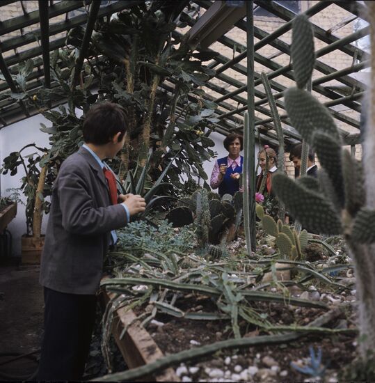 School hothouse in Bratsk