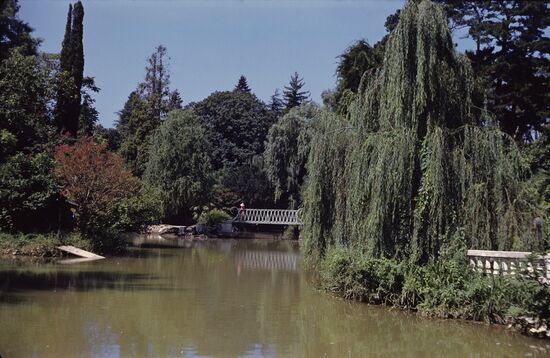 Southern Nature arboretum