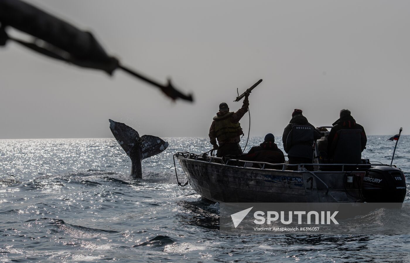 Russia Chukotka Whale Hunting