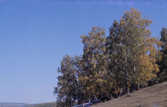 Autumn in Siberia