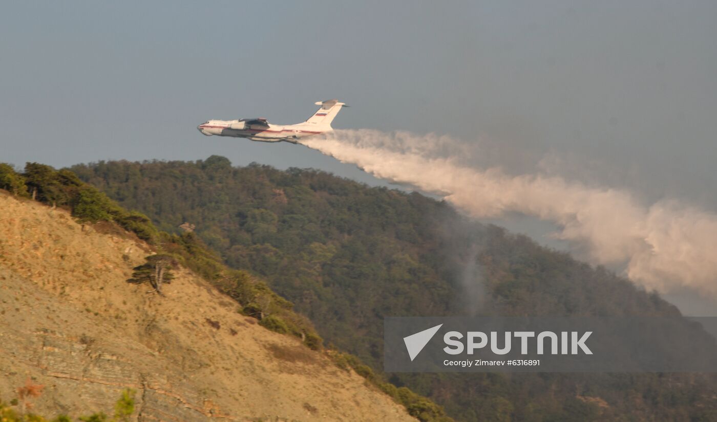 Russia Wildlife Sanctuary Fire