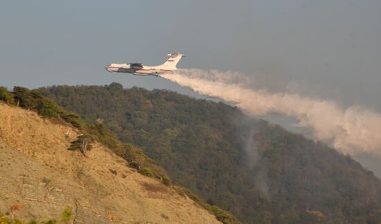 Russia Wildlife Sanctuary Fire