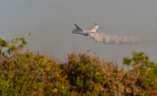 Russia Wildlife Sanctuary Fire