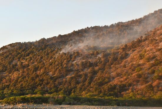 Russia Wildlife Sanctuary Fire