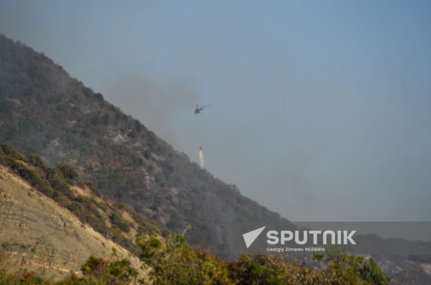Russia Wildlife Sanctuary Fire