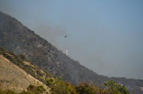 Russia Wildlife Sanctuary Fire