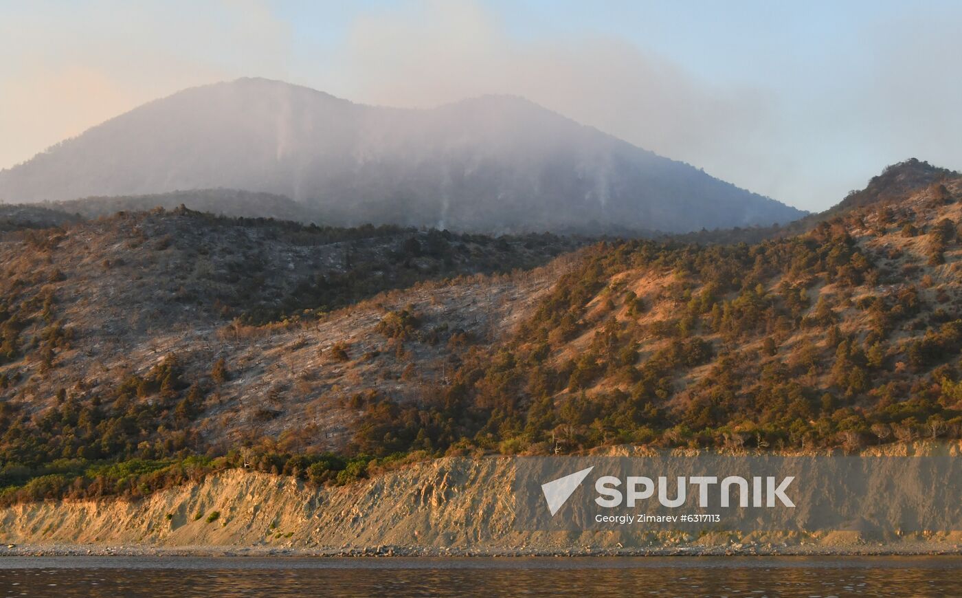 Russia Wildlife Sanctuary Fire