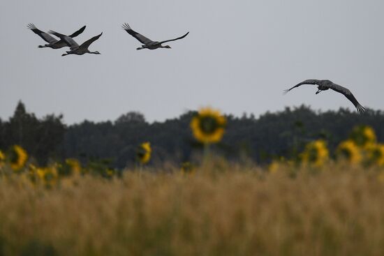 Russia Altai Salt Lakes