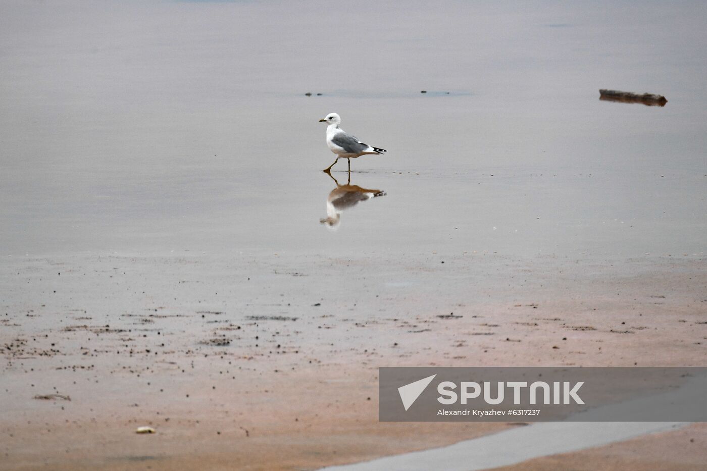 Russia Altai Salt Lakes