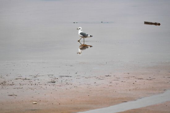 Russia Altai Salt Lakes