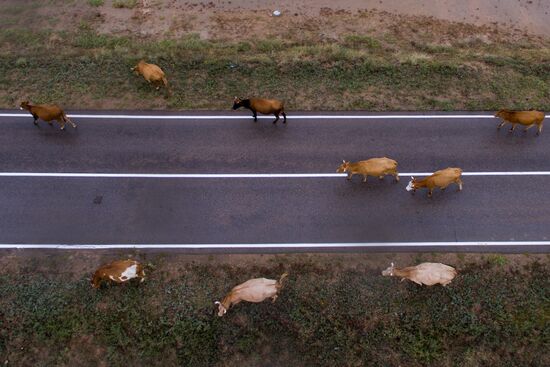 Russia Altai Salt Lakes