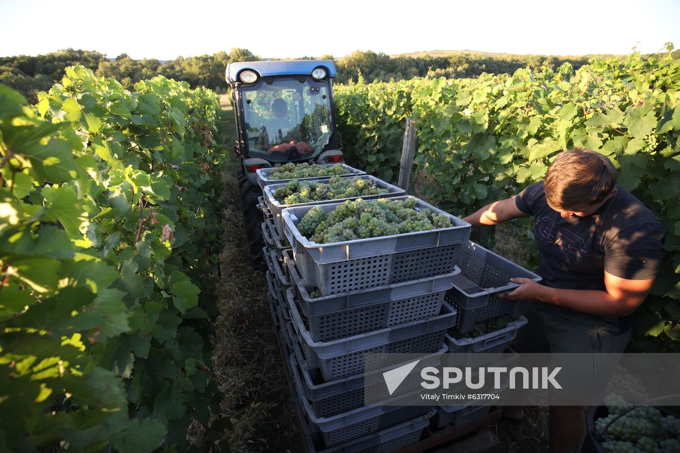 Russia Winery