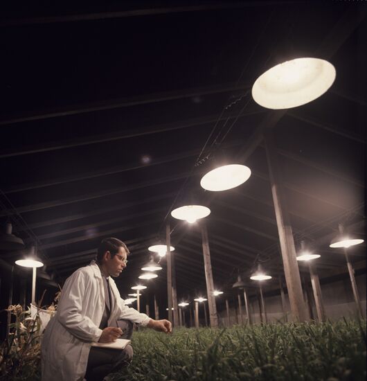 Vavilov Scientific Research Institute of Plant-Growing
