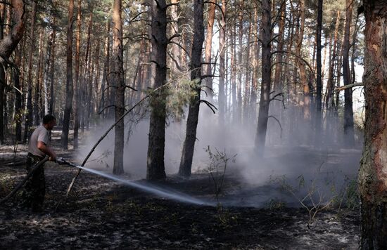 Russia Wildfires