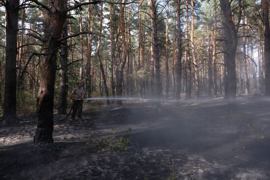 Russia Wildfires