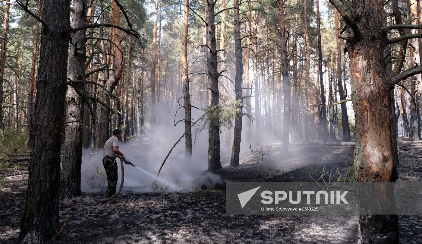 Russia Wildfires