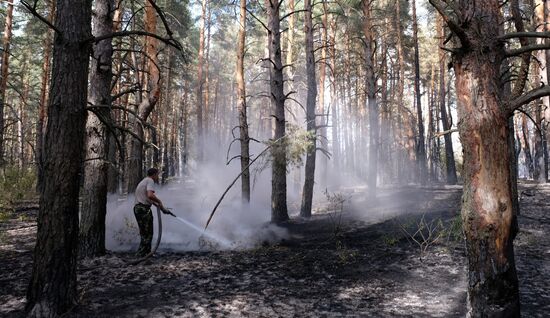 Russia Wildfires