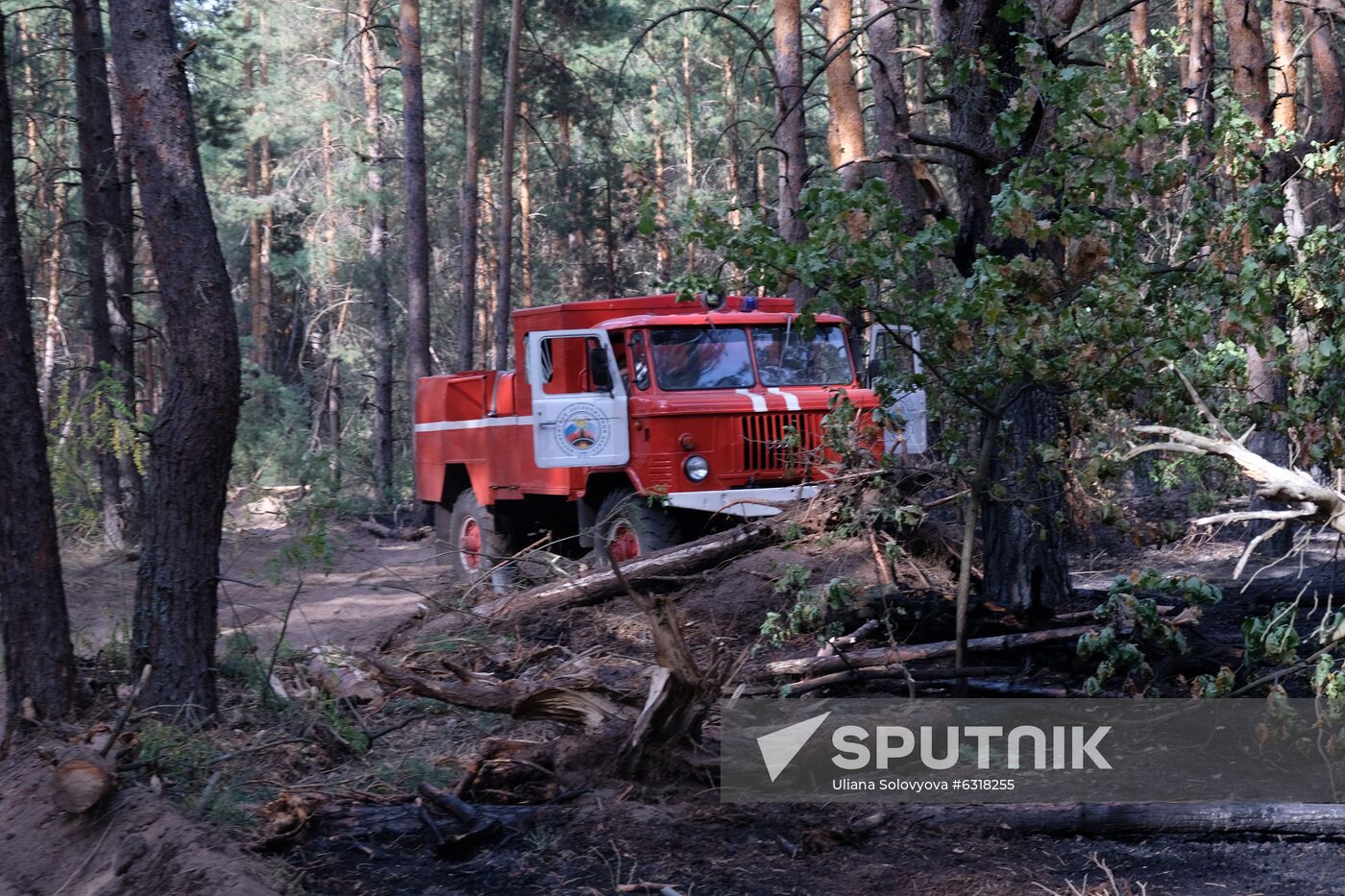 Russia Wildfires