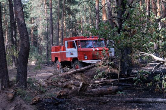 Russia Wildfires