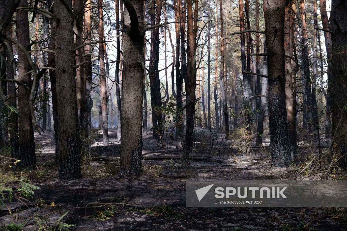 Russia Wildfires