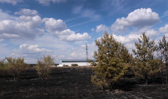 Russia Wildfires