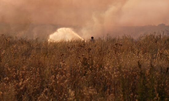 Russia Wildfires