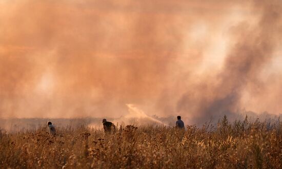 Russia Wildfires