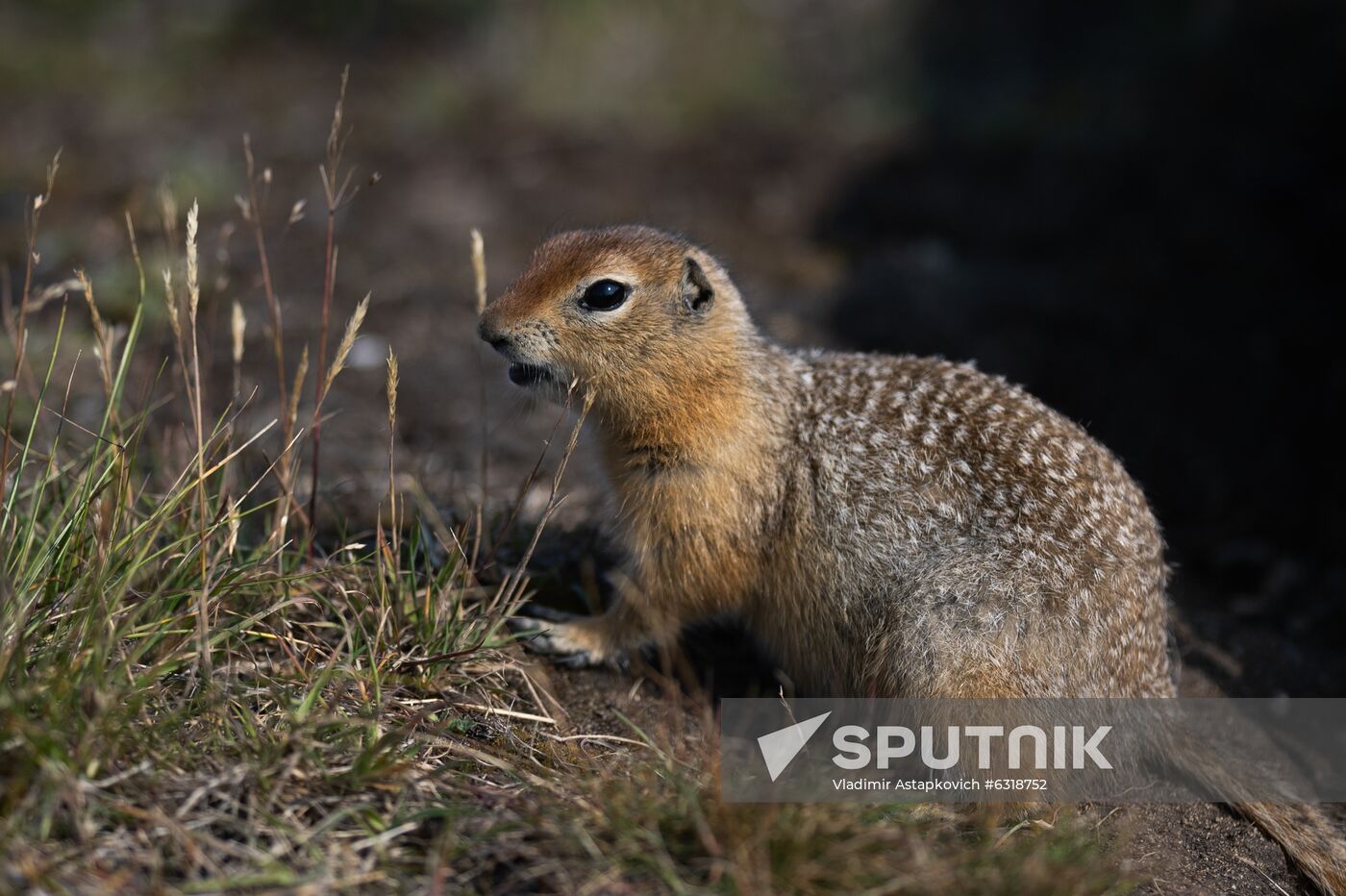 Russia Chukotka Daily Life