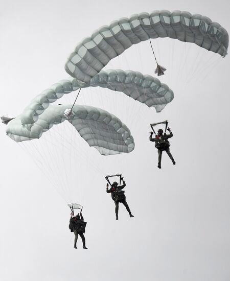 Russia Army Forum Land Forces Cluster