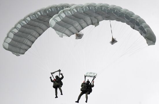 Russia Army Forum Land Forces Cluster