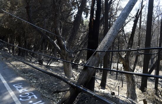 US Wildfires