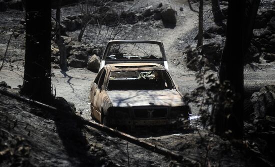 US Wildfires