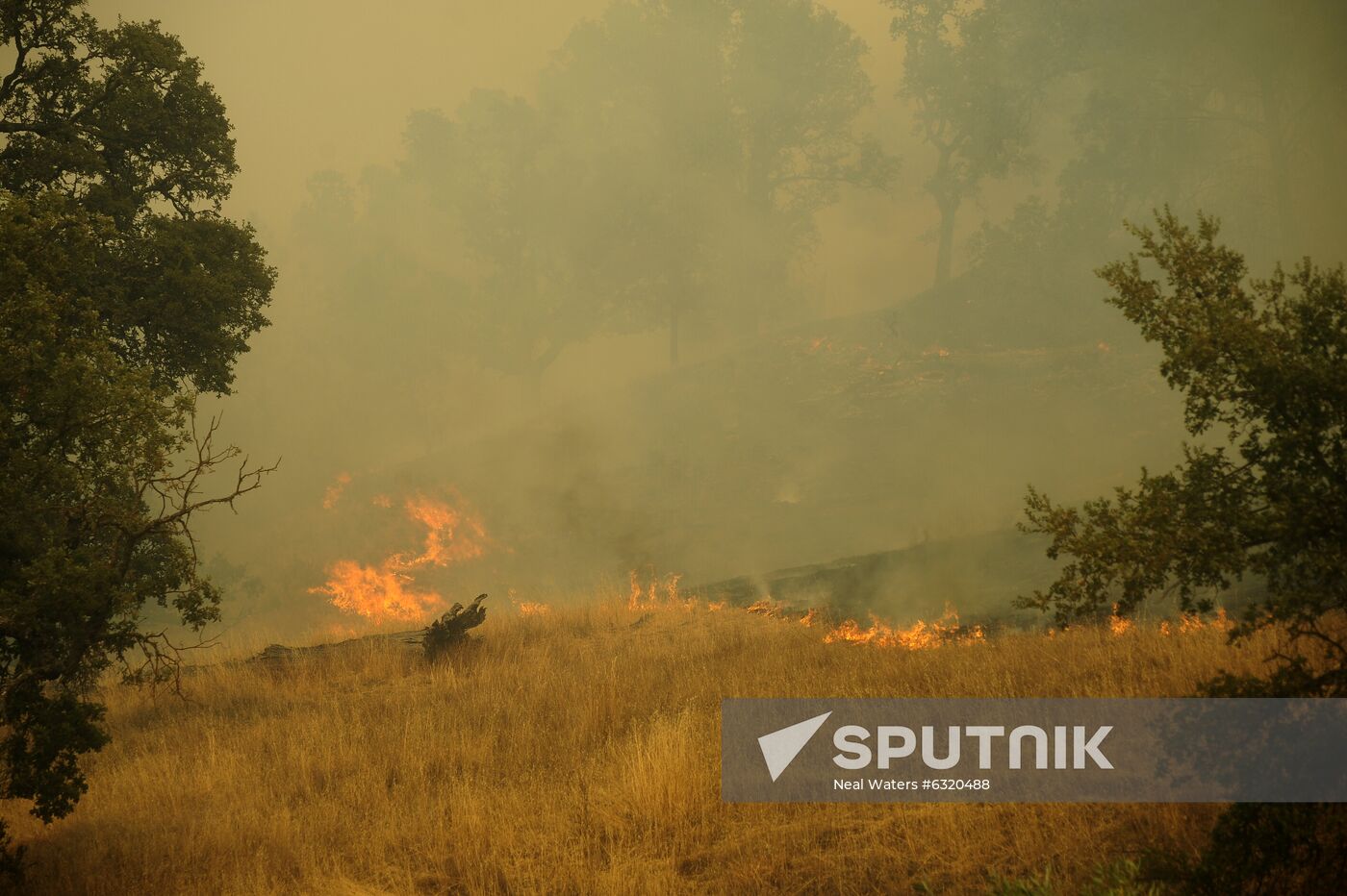 US Wildfires