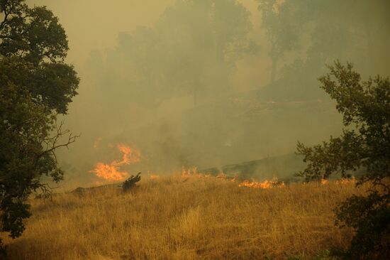 US Wildfires