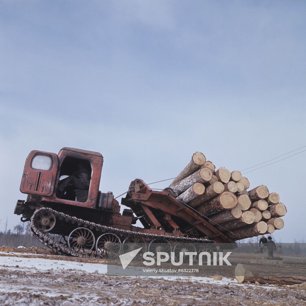 Procuring timber at Yakut timber industry enterprise