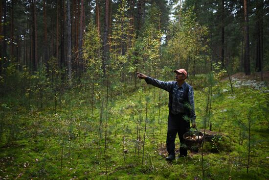 Russia Mushrooms