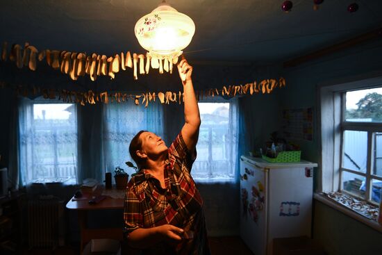 Russia Mushrooms
