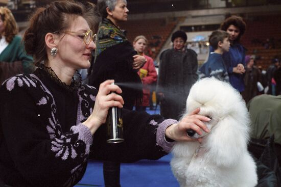 Eurasia 1995 dog show