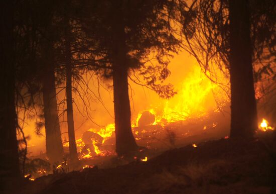 US Wildfires 