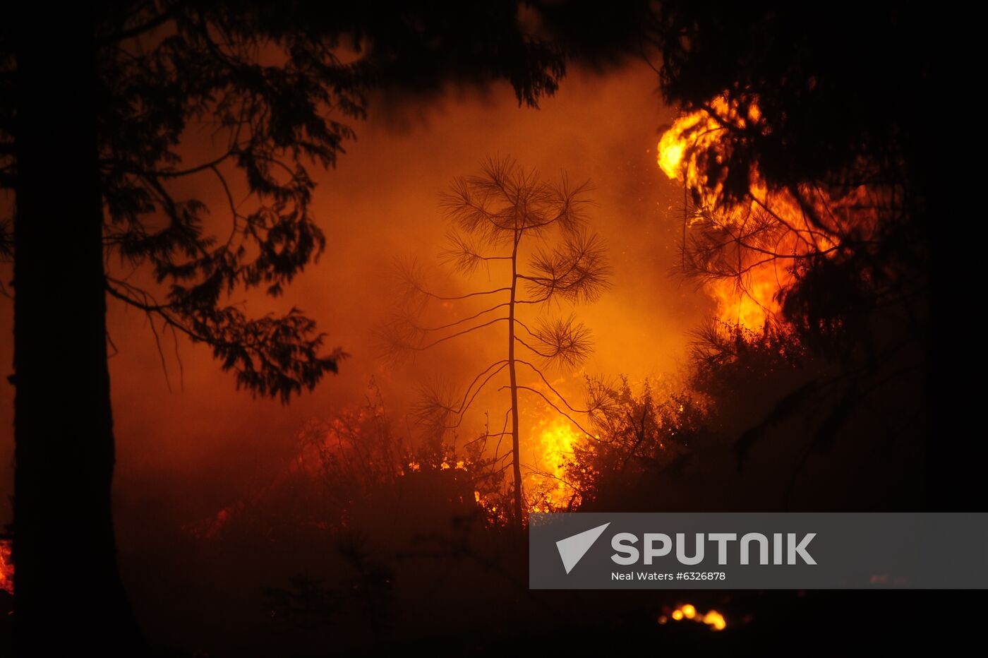 US Wildfires