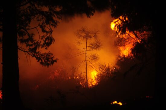 US Wildfires 