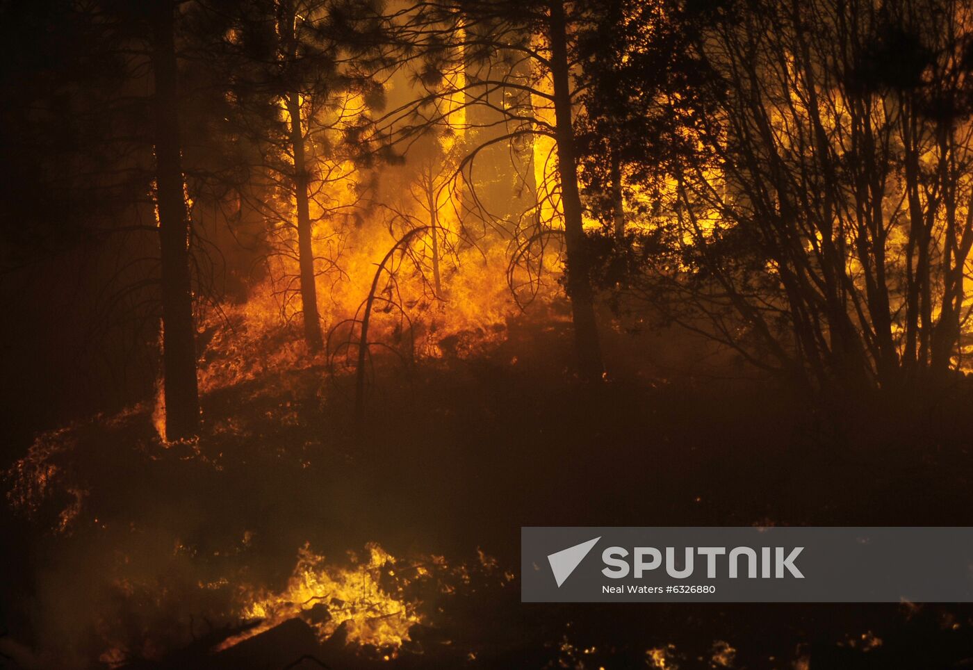 US Wildfires
